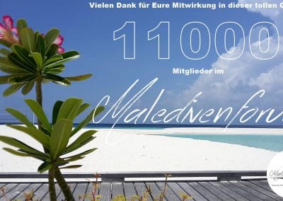 11000 Mitglieder