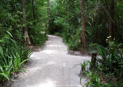 Reethi Beach