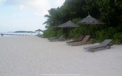 Reisebericht Reethi Beach Resort