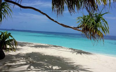 Reisebericht Angaga Island ResortStrand