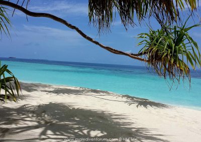 Reisebericht Angaga Island ResortStrand
