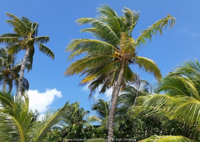 Malediventraum Veligandu