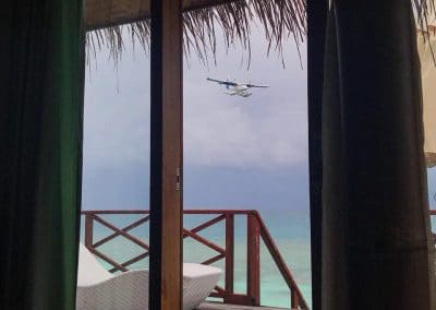 Safari Island Resort