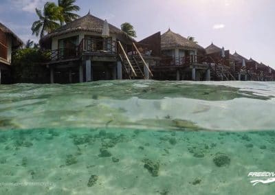 Safari Island Resort