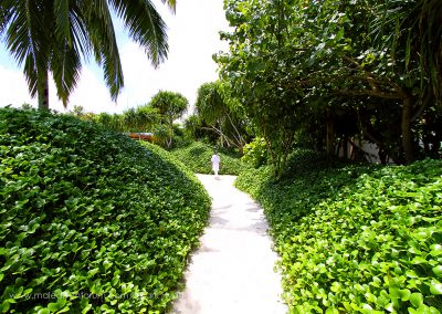 Park Hyatt Maldives Hadahaa Spa