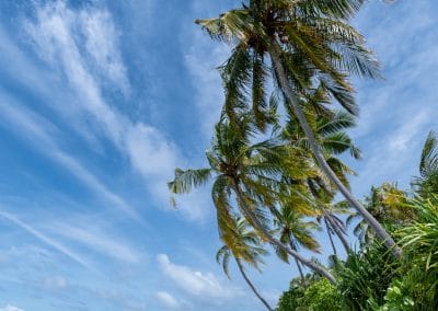 Park Hyatt Hadahaa
