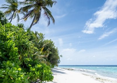 Park Hyatt Hadahaa