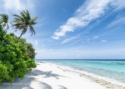 Park Hyatt Hadahaa