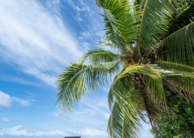 Park Hyatt Hadahaa