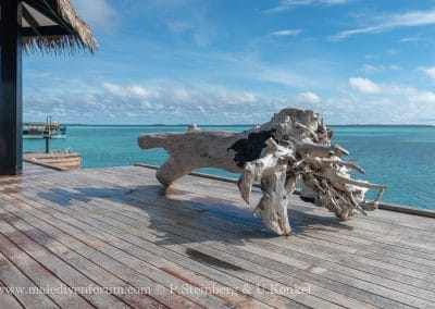 Arrival Jetty Noku Maldives