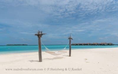 Beach Noku Maldives