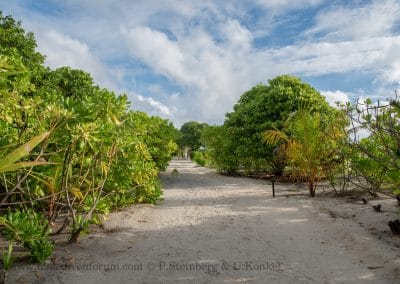 Inner Island Noku Maldives