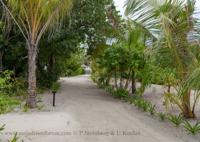 Inner Island Noku Maldives