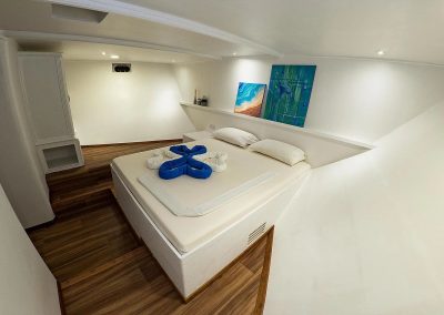 MV Eco Blue Deluxe Kabine