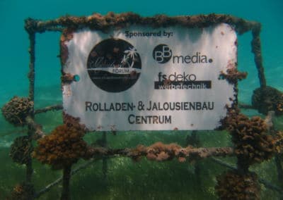 Maledivenforum Coral Park Januar 2020