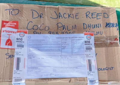 Olive Ridley Project