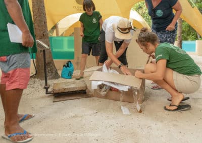 Olive Ridley Project
