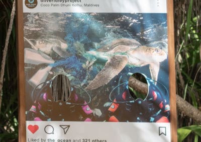 Olive Ridley Project