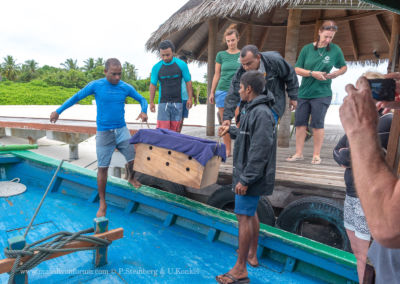 Olive Ridley Project