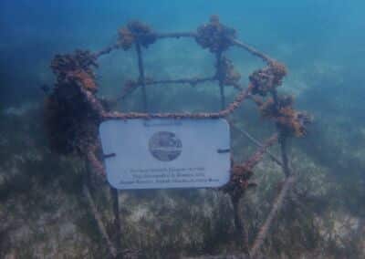 Maledivenforum Coral Park Juni 2022